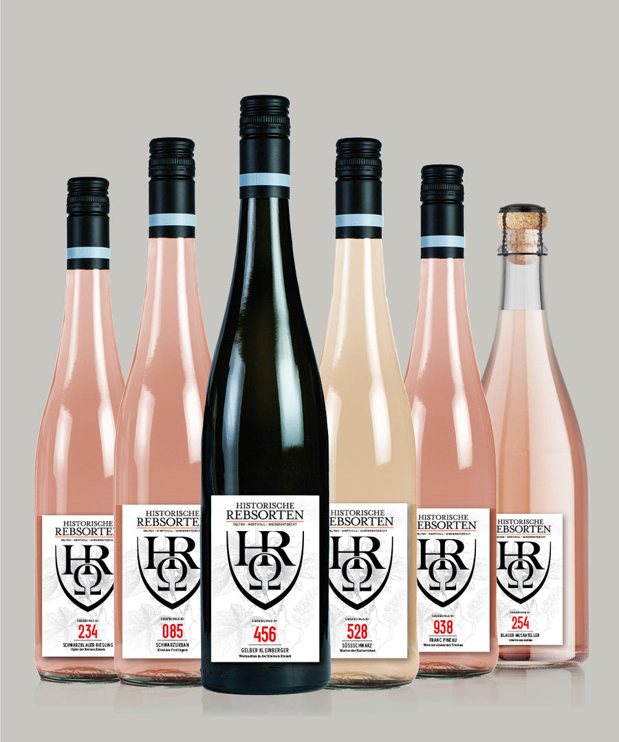 6-er Entdeckerpaket "leichte Momente des Lebens"