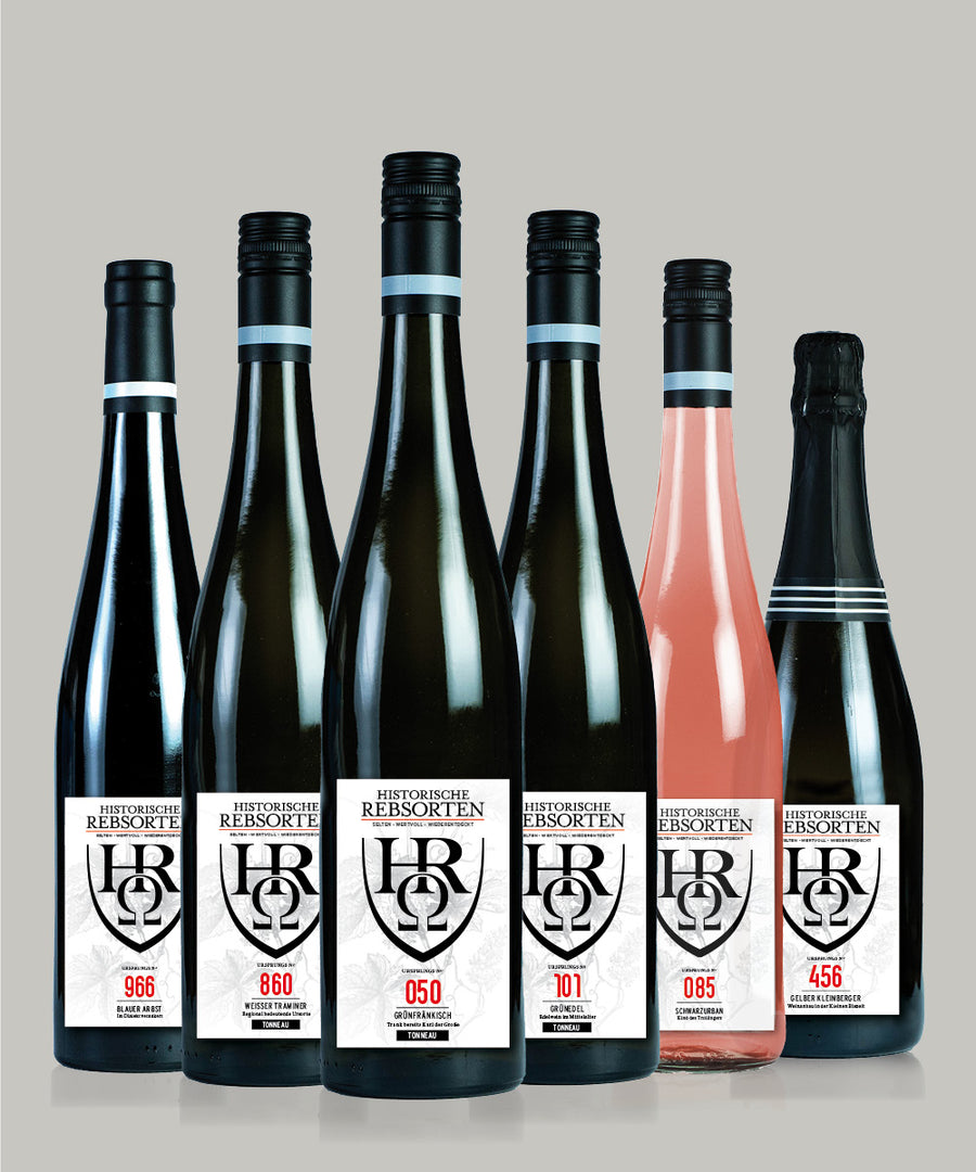 6-er Entdeckerpaket "Feinschmecker"