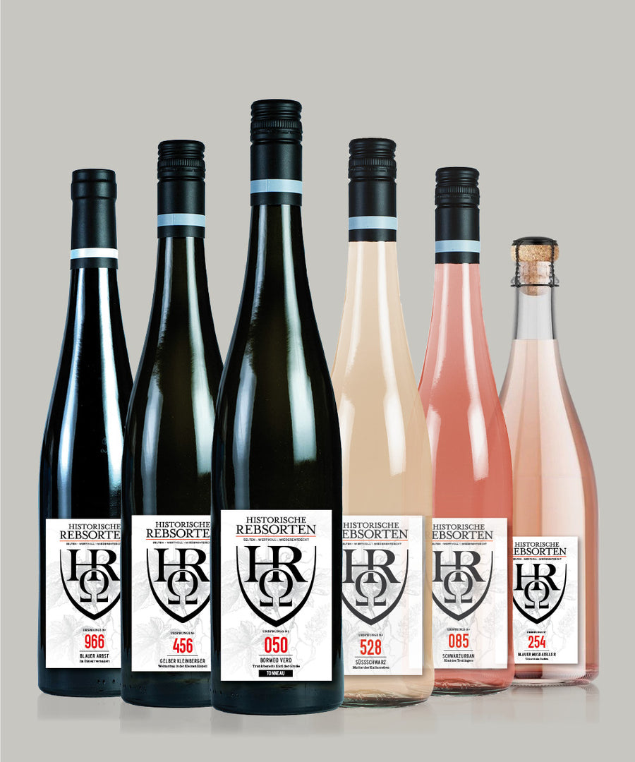 6-er Entdeckerpaket "Party mit Freunden"