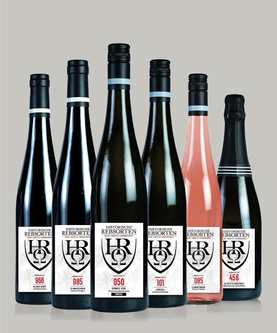 6-er Paket "Frohe Weihnachten - Prost Neujahr"