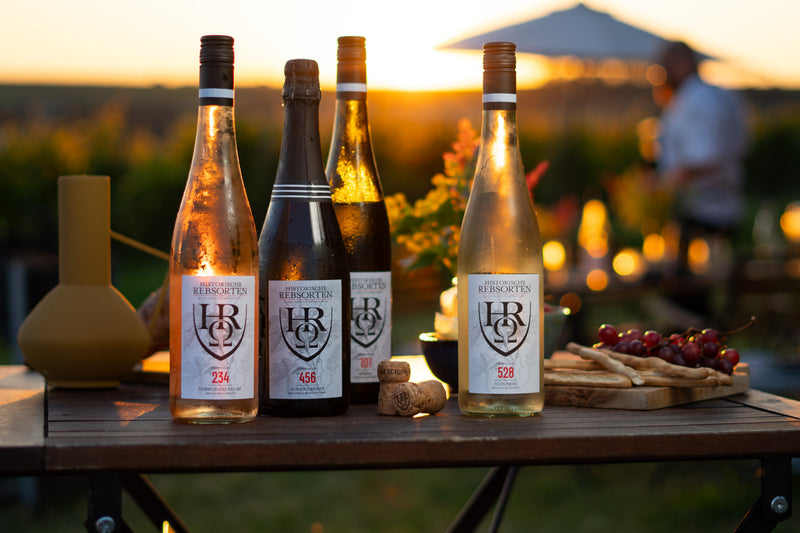 Einstieg & Orientierung